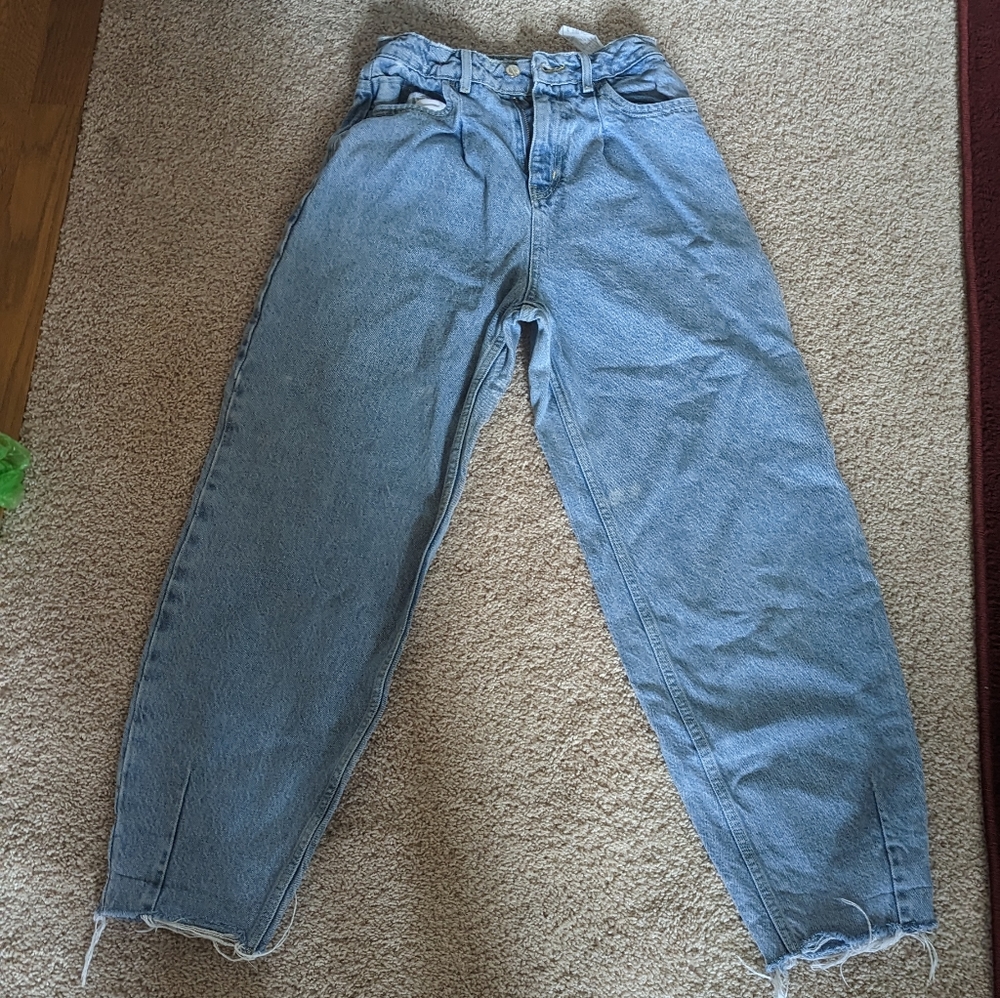 Zara Balloon Pants
